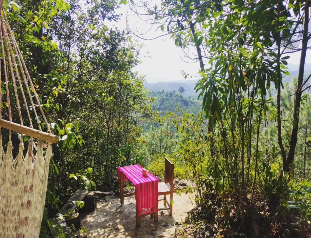 Paraiso Verde Chijou Zewnętrze zdjęcie
