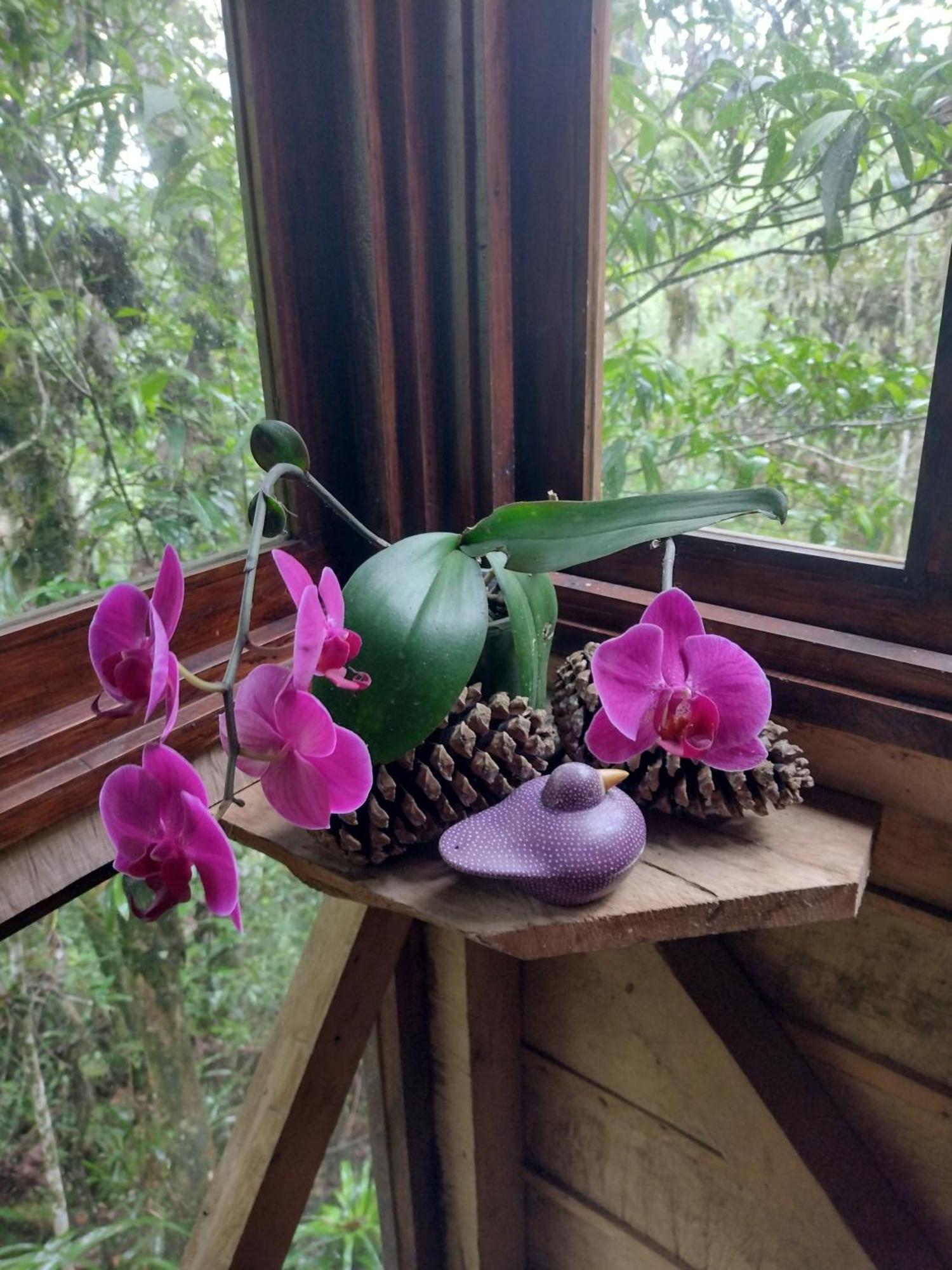 Paraiso Verde Chijou Zewnętrze zdjęcie