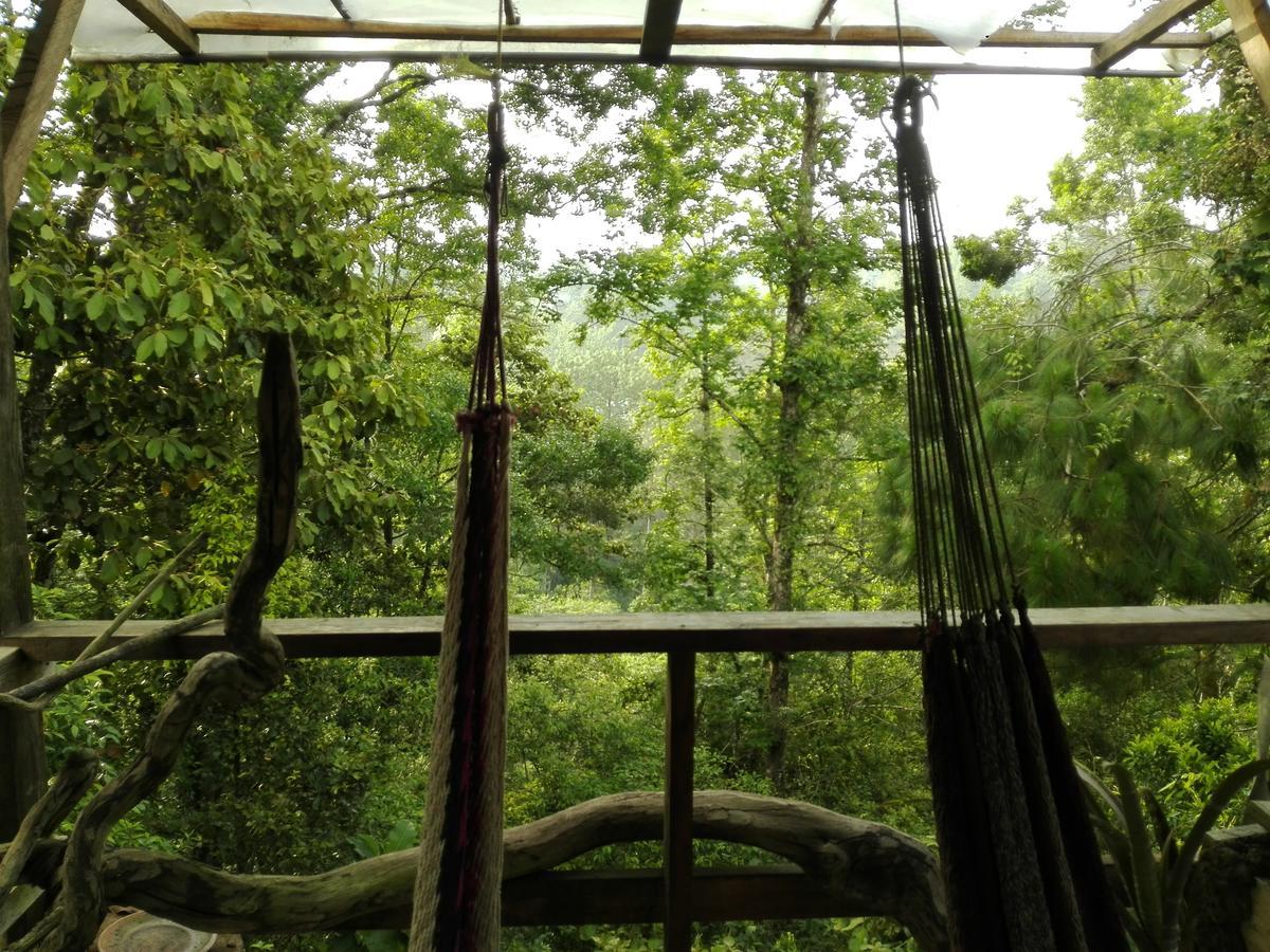 Paraiso Verde Chijou Zewnętrze zdjęcie