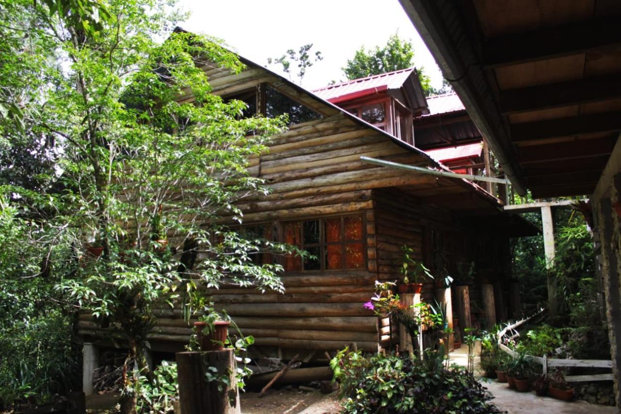 Paraiso Verde Chijou Zewnętrze zdjęcie