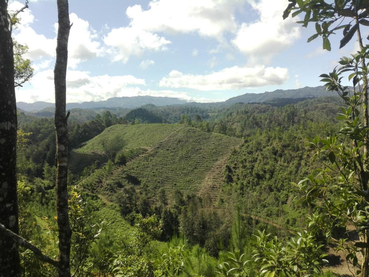 Paraiso Verde Chijou Zewnętrze zdjęcie